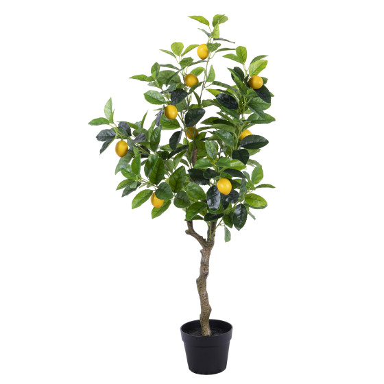 Albero limone real touch